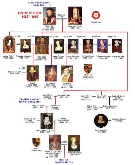 tudor family tree|elizabeth of york descendants today.